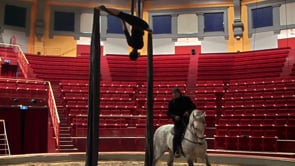 Coronation of the horse (Mario Lurasci)