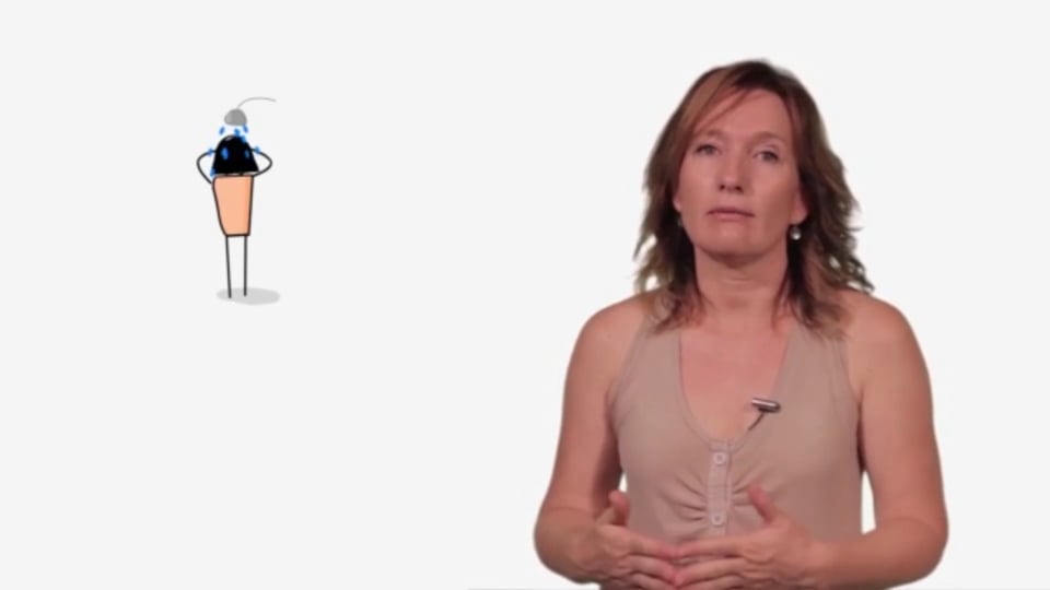 9- Exploración corporal 2