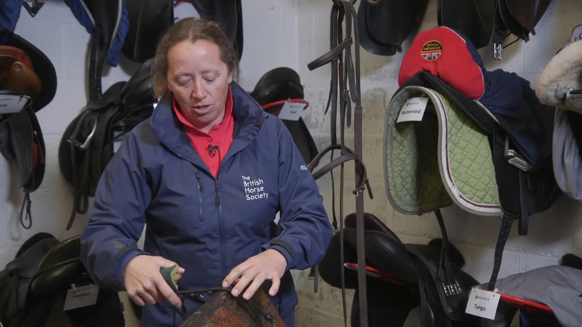 BHS 'How to Clean a Bridle'