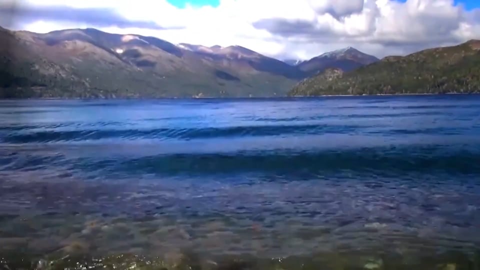 20- Reduce el estrés