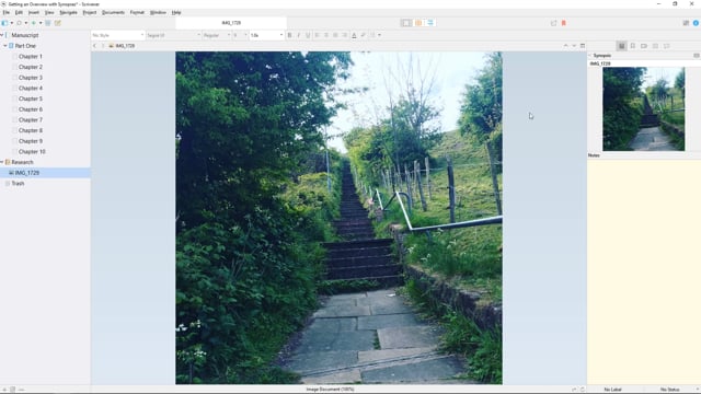Getting an Overview with Synopses