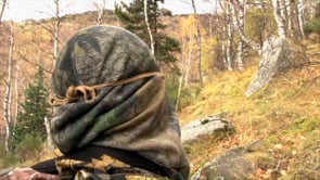 À l’approche des grands isards