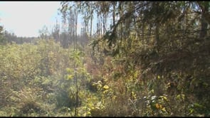 Big Hunting in Belarus