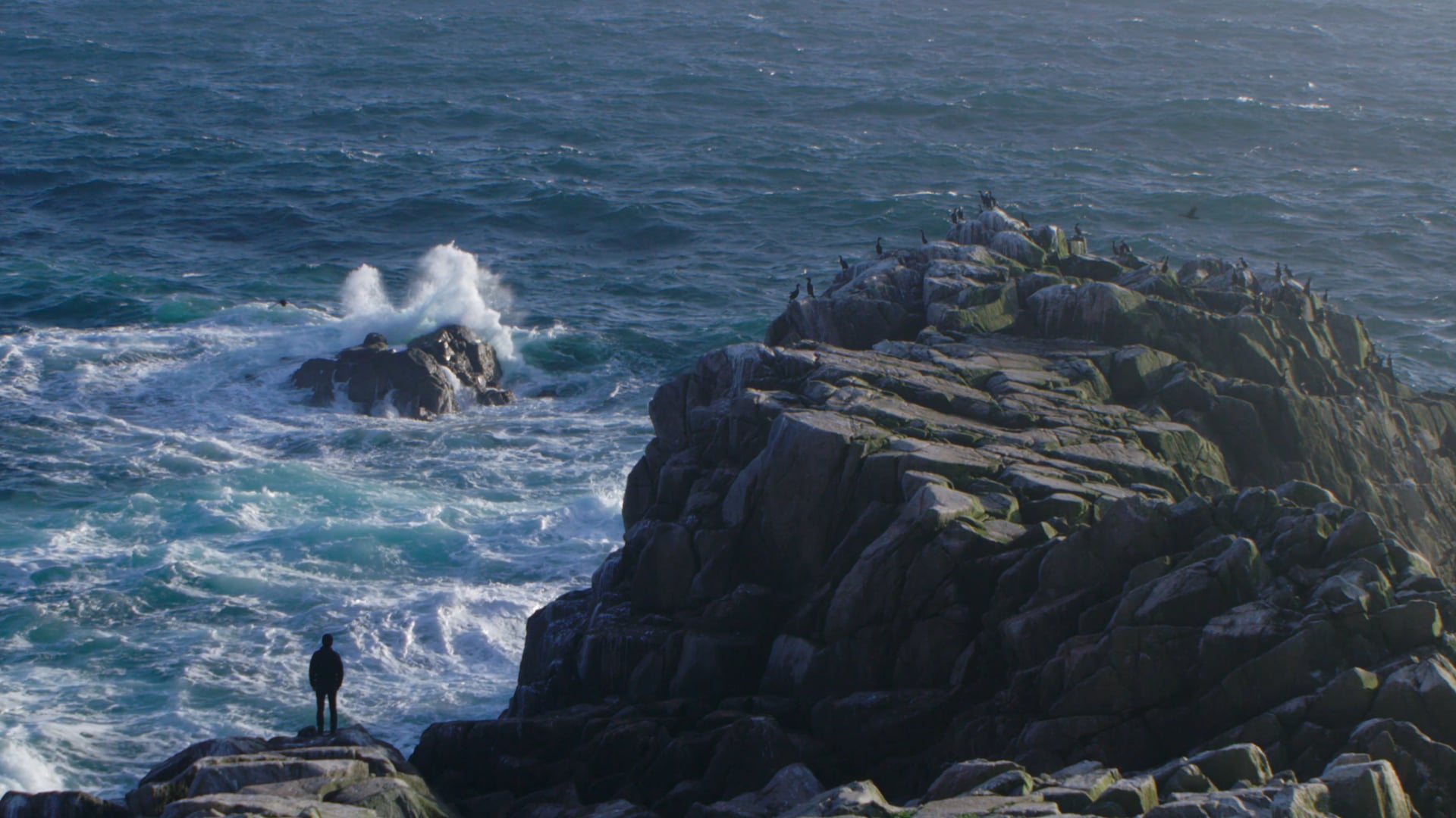 Nat Geo Wild x RED | The Call of the Sky