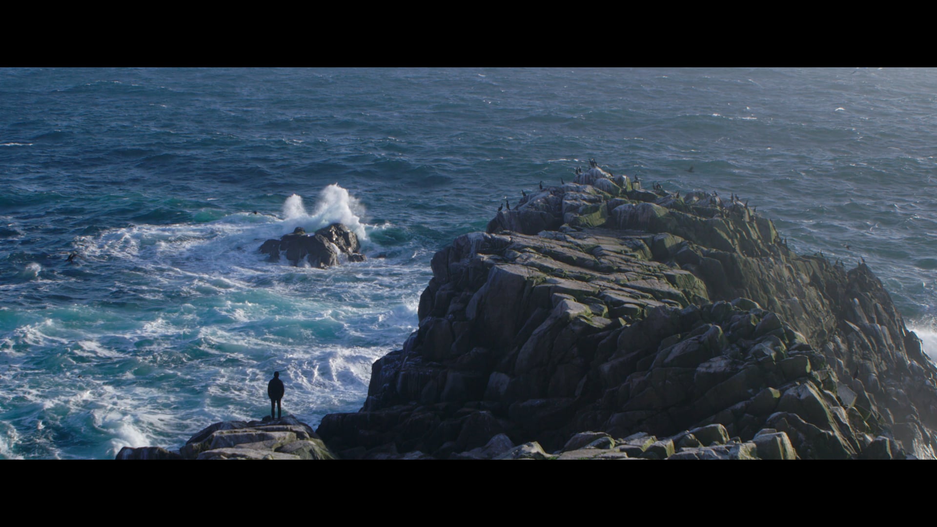 Nat Geo Wild x RED | The Call of the Sky