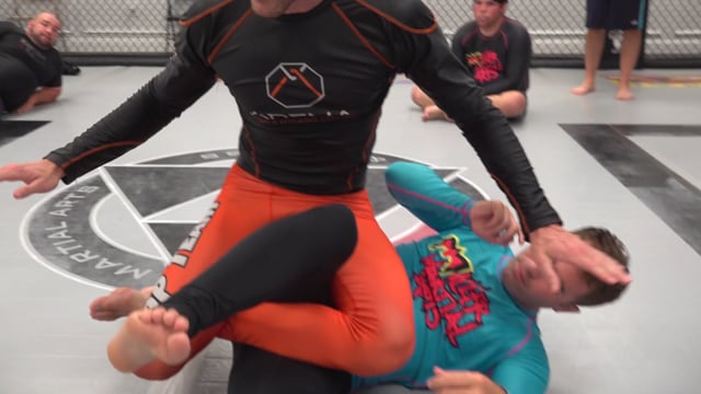 Heel Hooks & Guard Passing