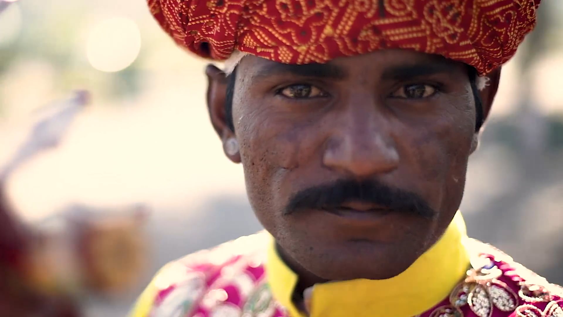 India | Música | Graviolafilmes