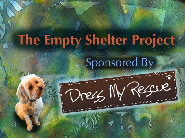 The Empty Shelter Project