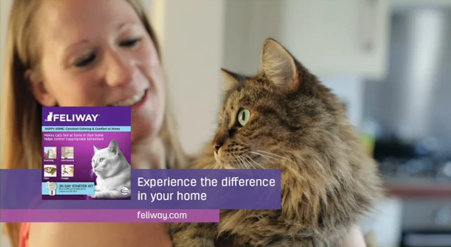 Cat plug in on sale feliway pets at home