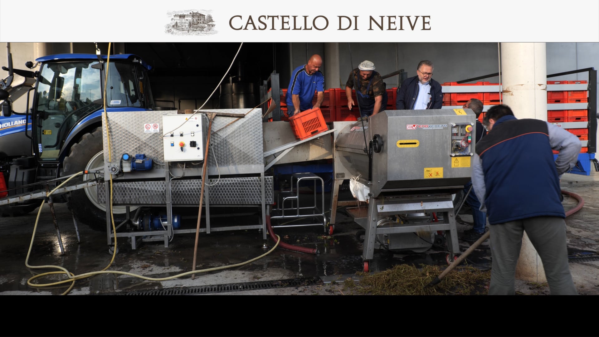 Vendemmia ​2020 | La ​diraspatur​a