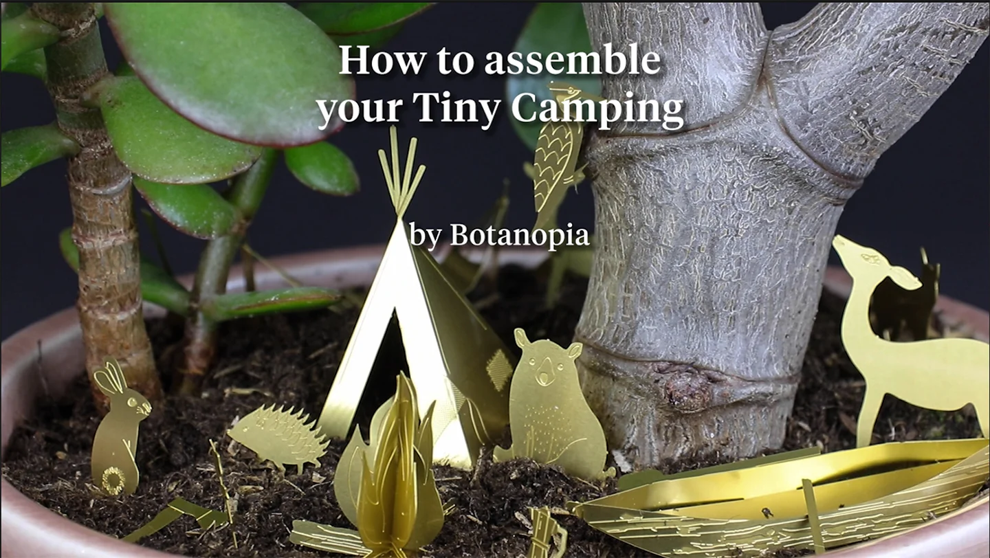 How to assemble your Tiny Camping for your plants, by Botanopia on