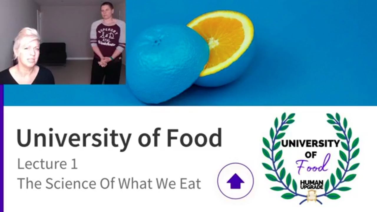 University Of Food Lecture 1