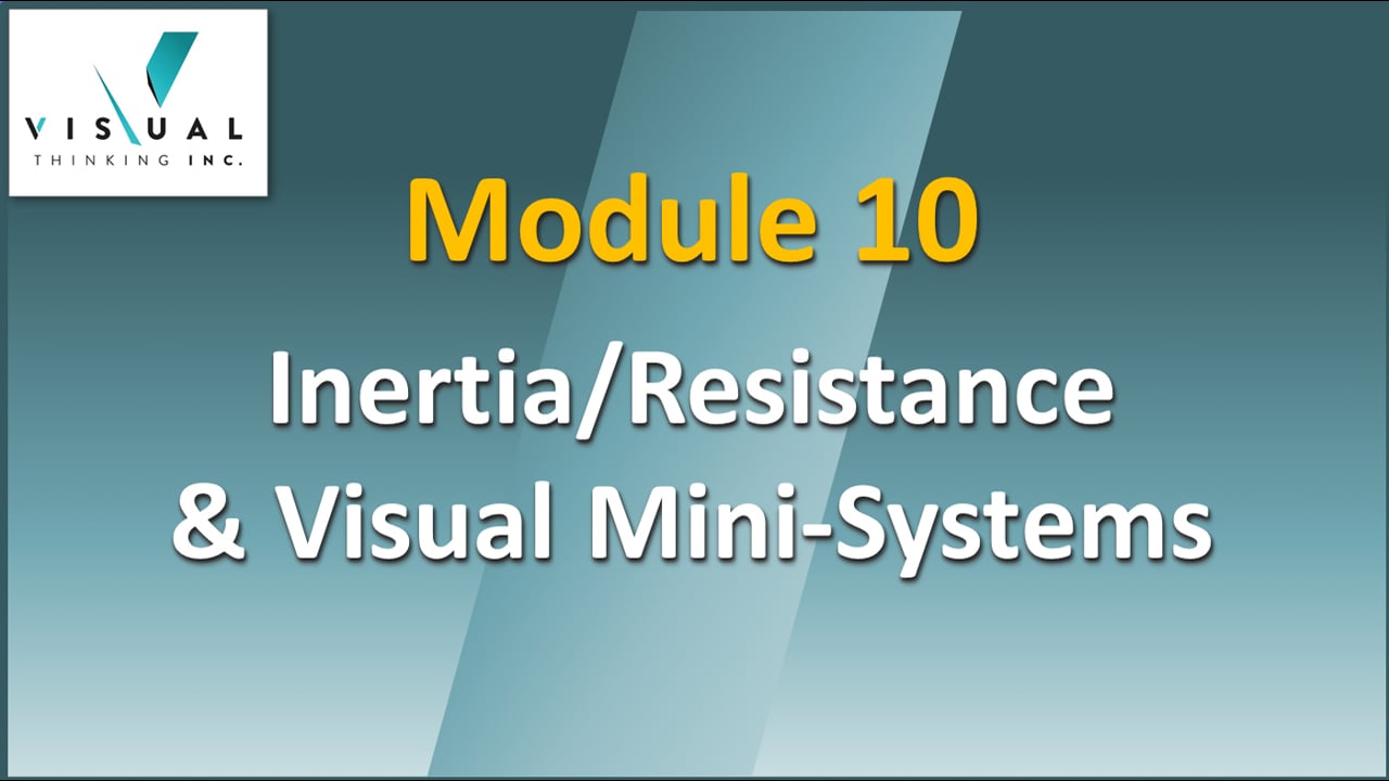 Module 10 - Inertia, Resistance And Visual Mini-systems