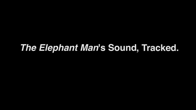 elephant man essay