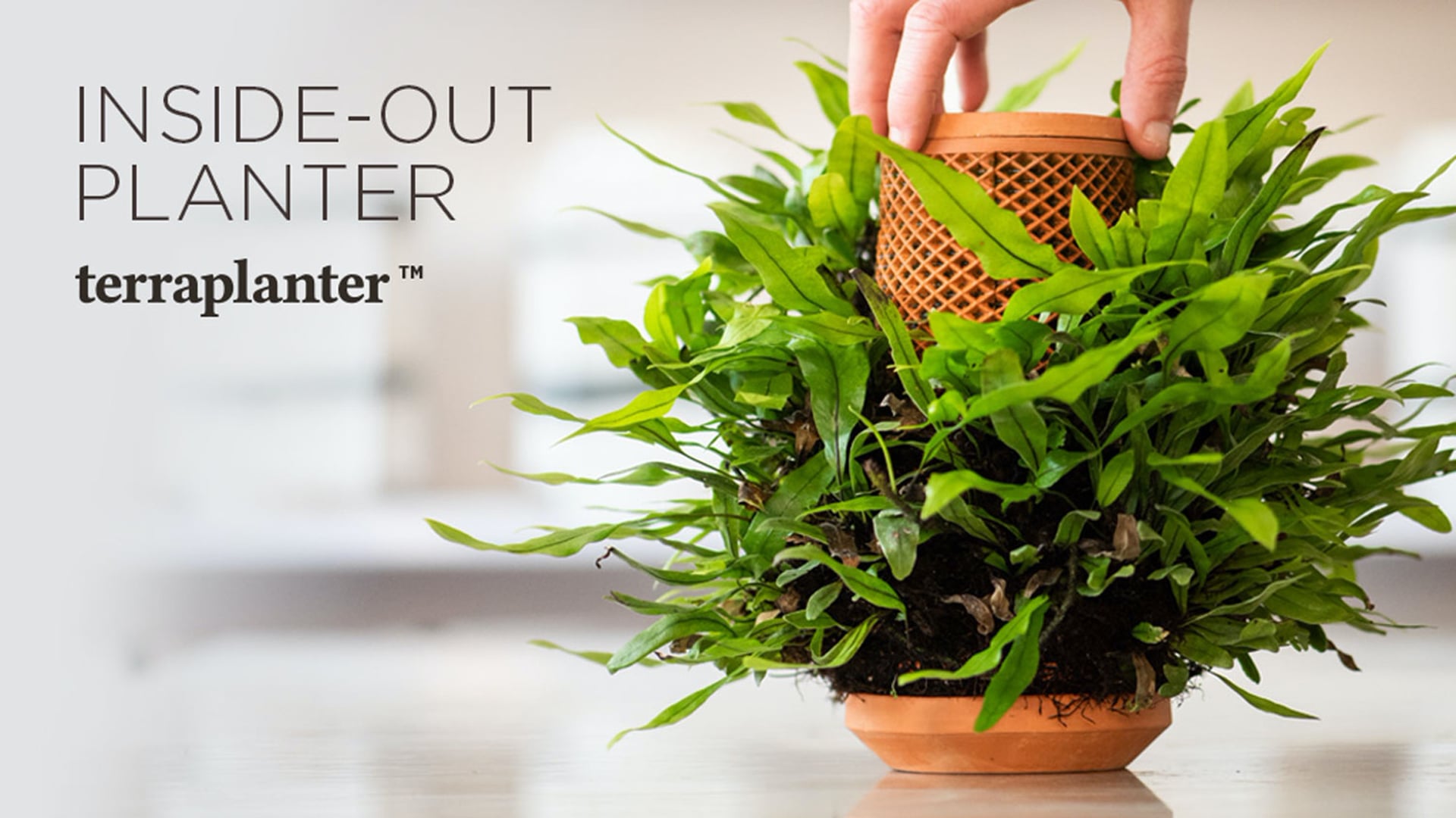 Terraplanter - Inside-Out Planter