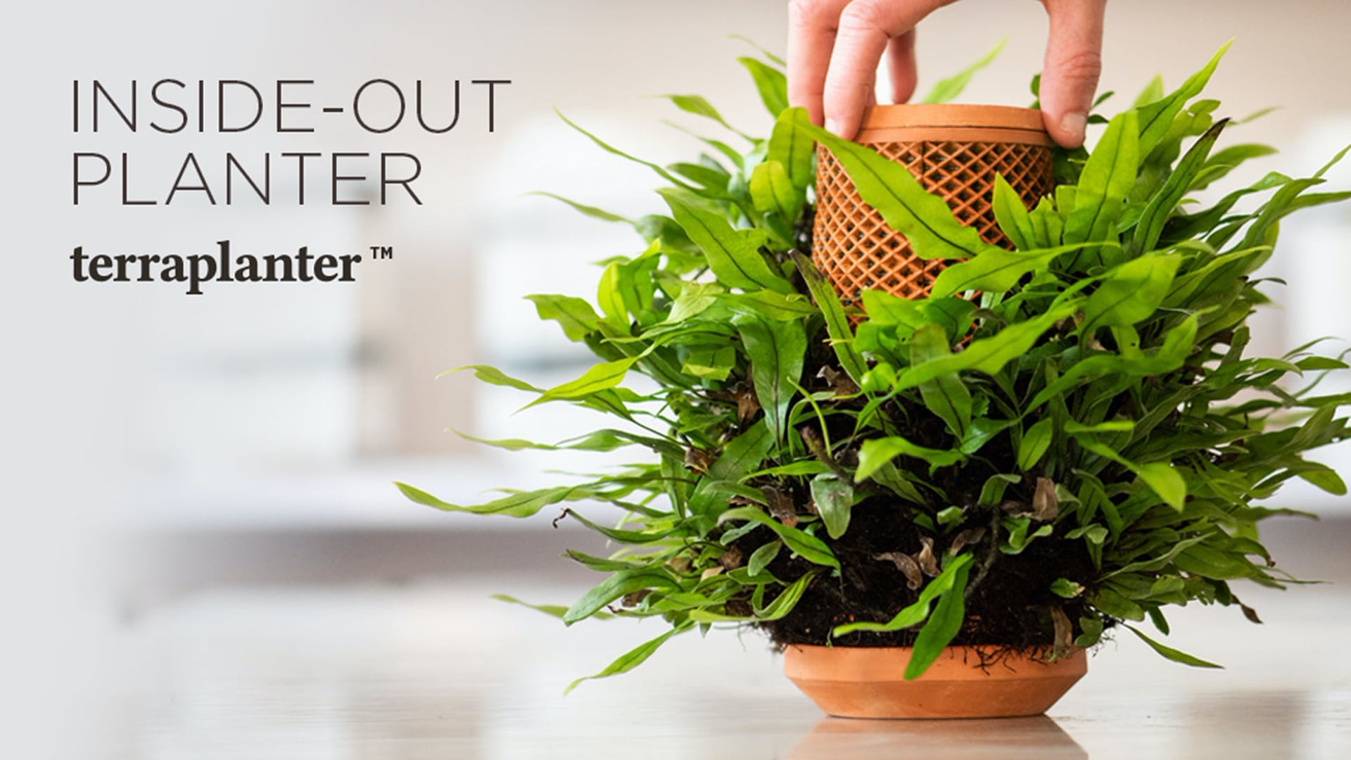 Terraplanter - Inside-Out Planter
