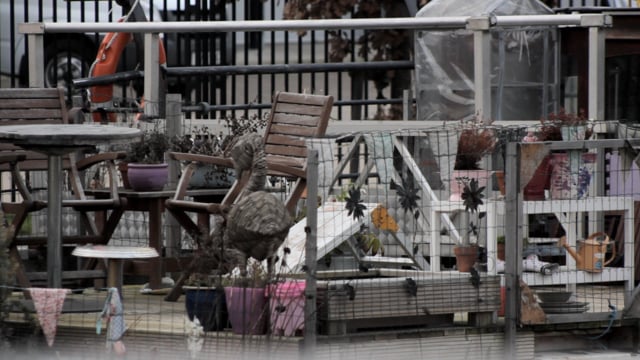 Vimeo Thumbnail (API)