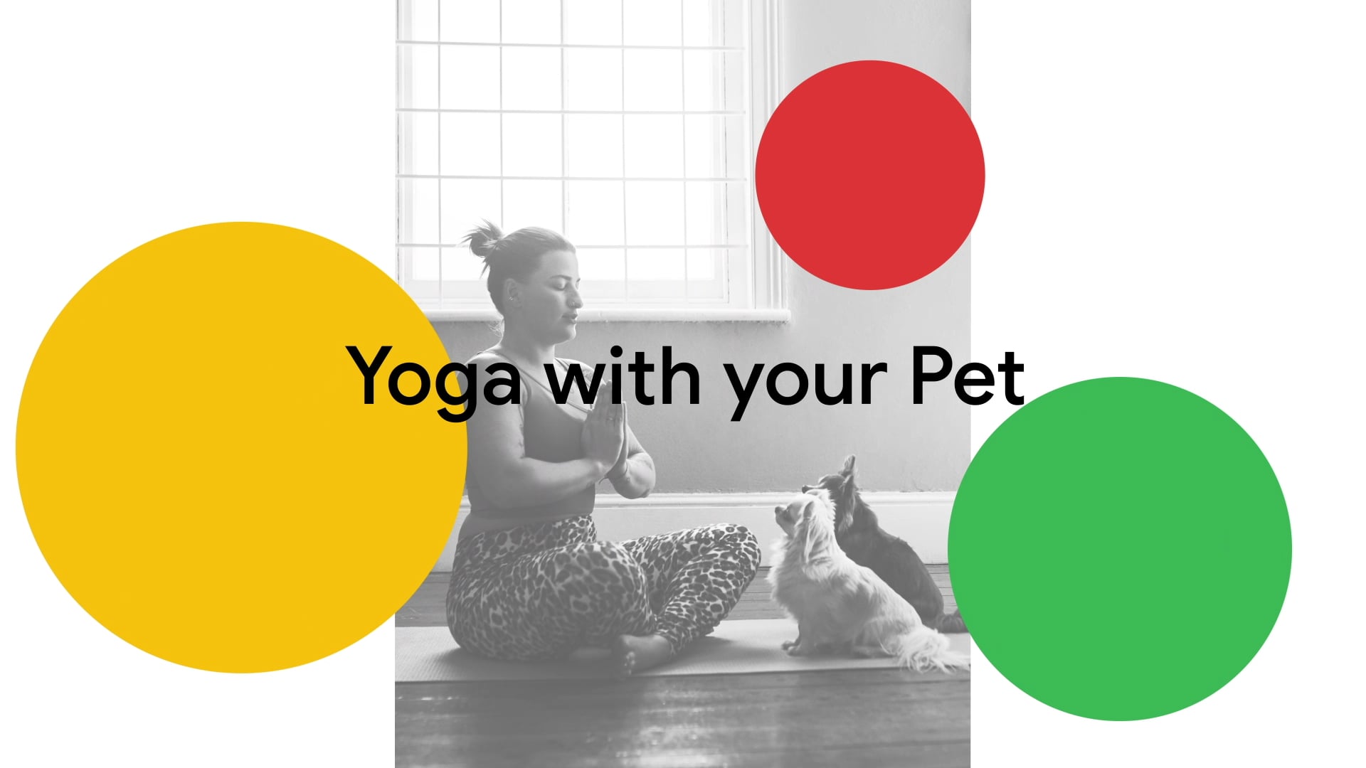 Google Pet Yoga