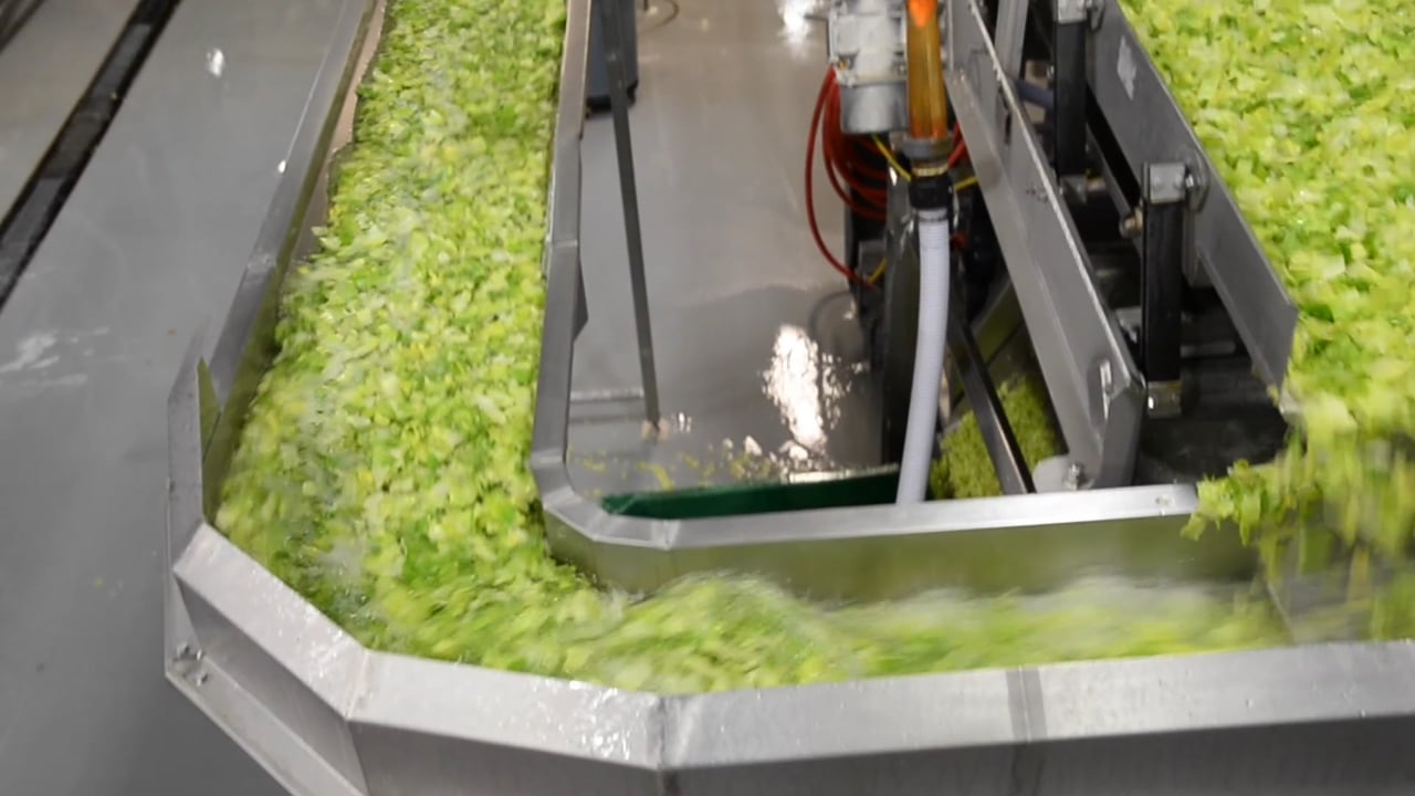 Washed by GreenGate Fresh