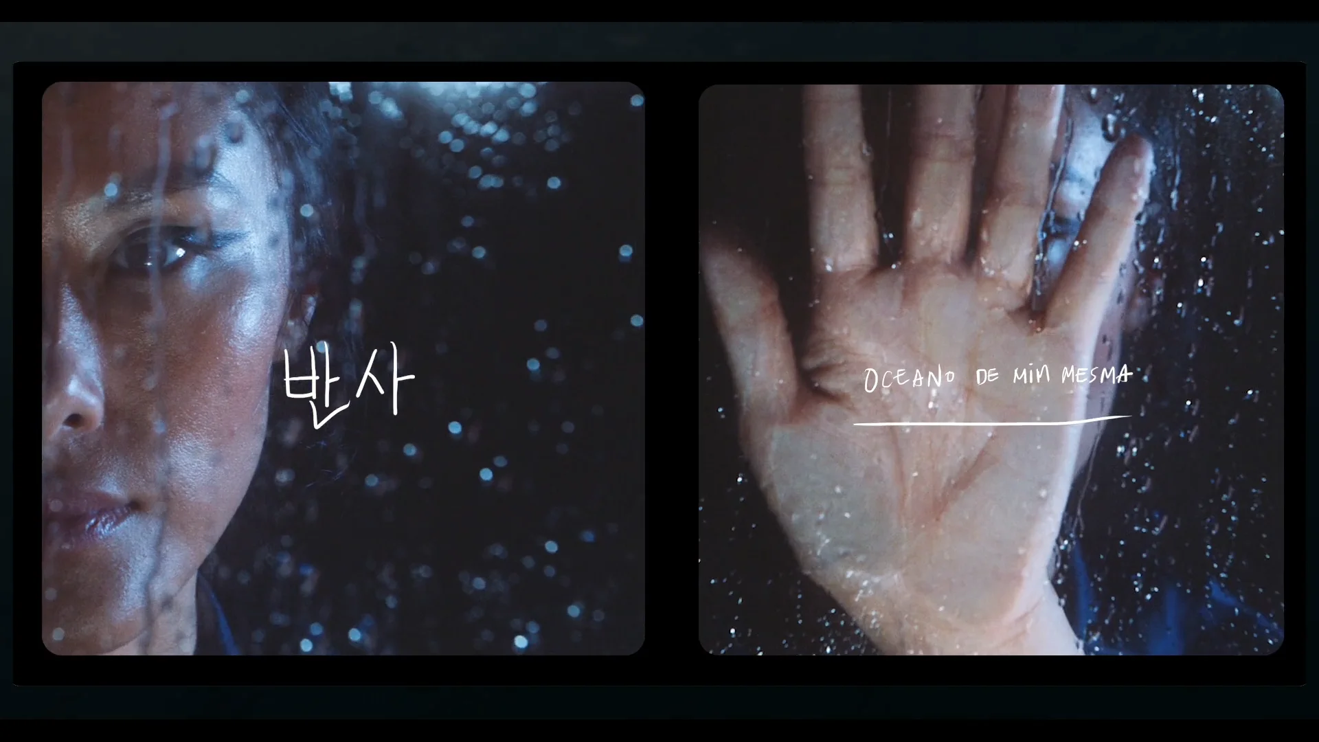 CHO PROJECT on Vimeo
