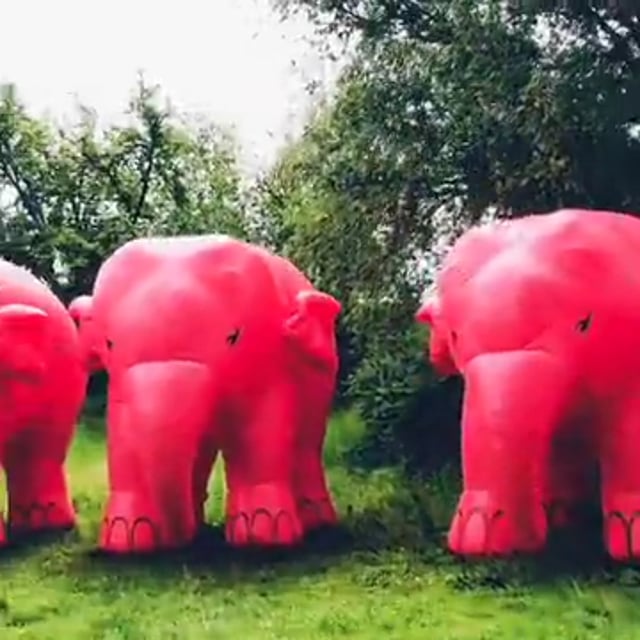 Autofenster Sonnenschutz rosa Elefant neu in Köln - Rath-Heumar