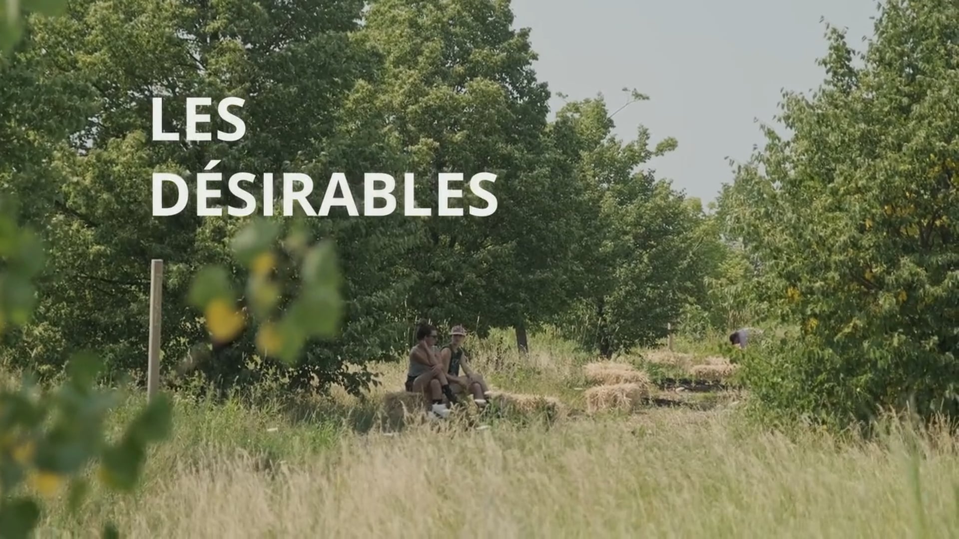 Les Désirables teaser