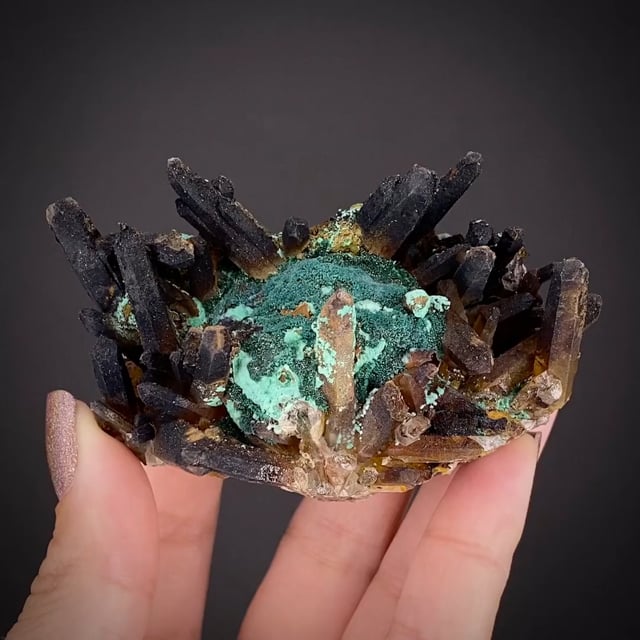 Malachite with Quartz - SM20-366 - Concepcion del Oro - Mexico