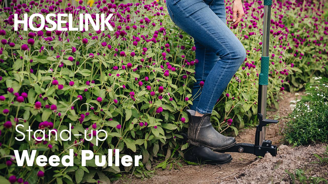 Hoselink Standup Weed Puller on Vimeo