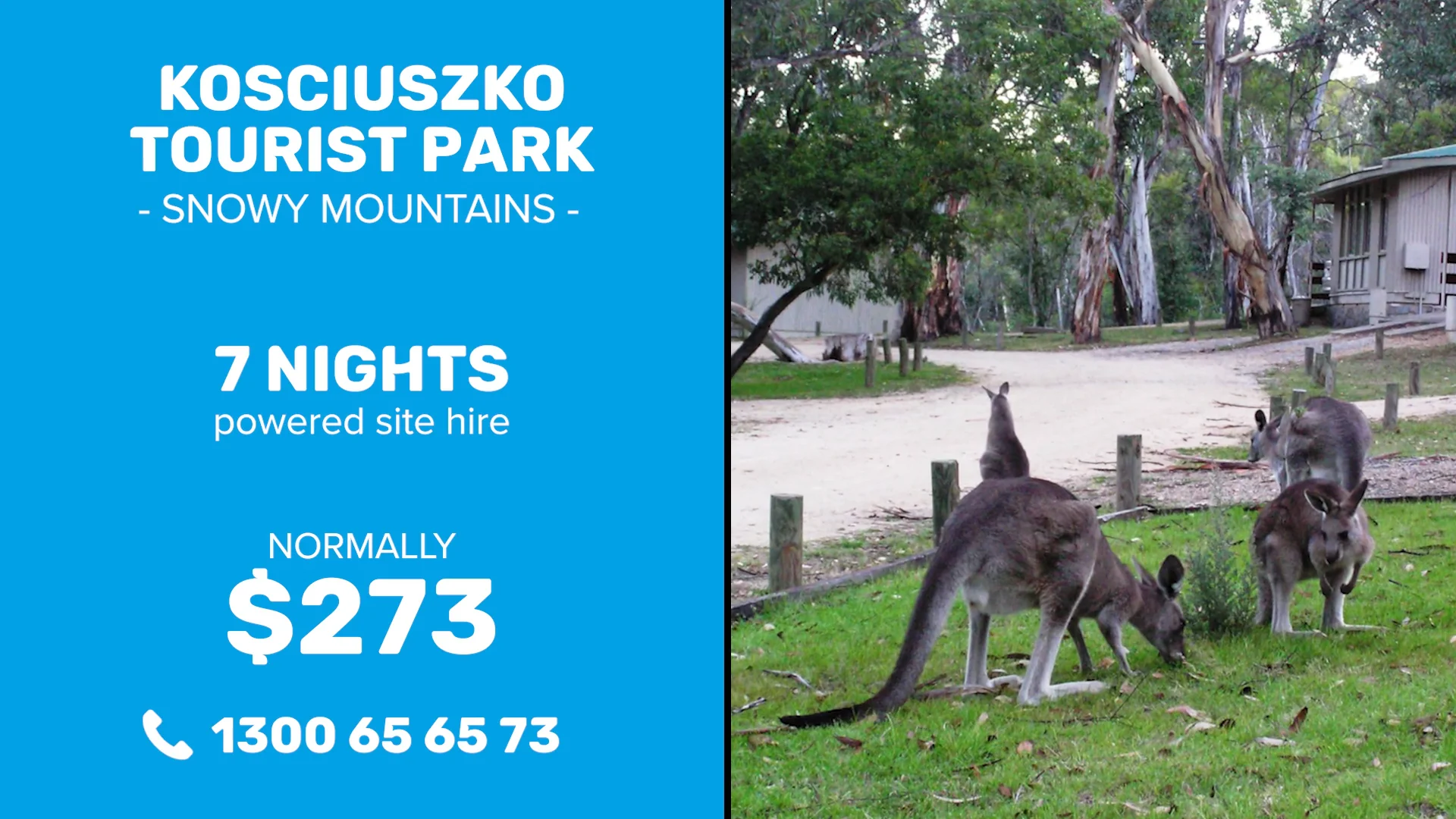 Kosciuszko Tourist Park (Powered Sites) Jindabyne, New South Wales on