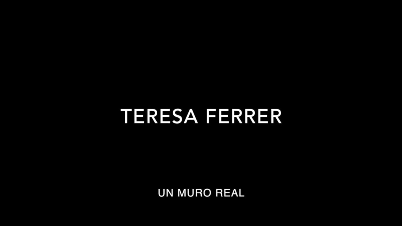 Teresa Ferrer - Un muro real