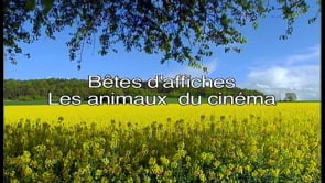 Bêtes d’affiches : les animaux du cinéma