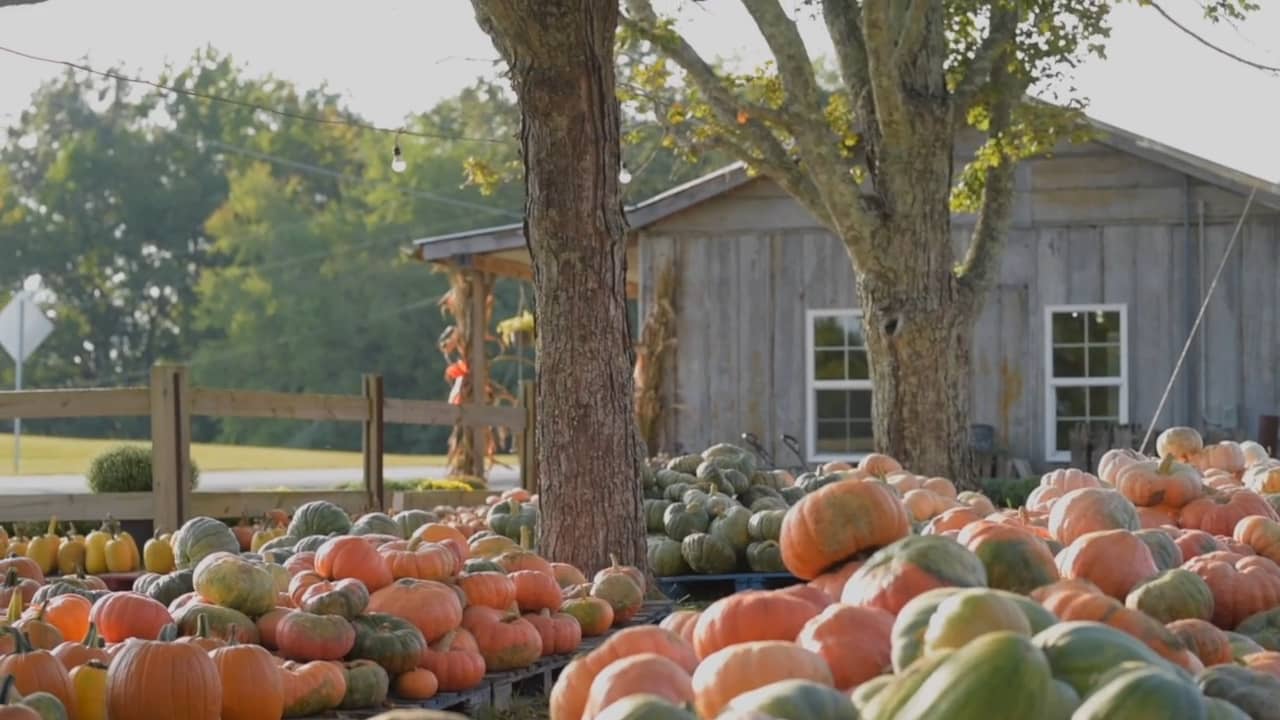 Berry's Bushel Basket on Vimeo