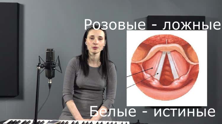 Голосовые связки