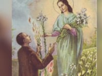 Episode 141- St Maria Goretti