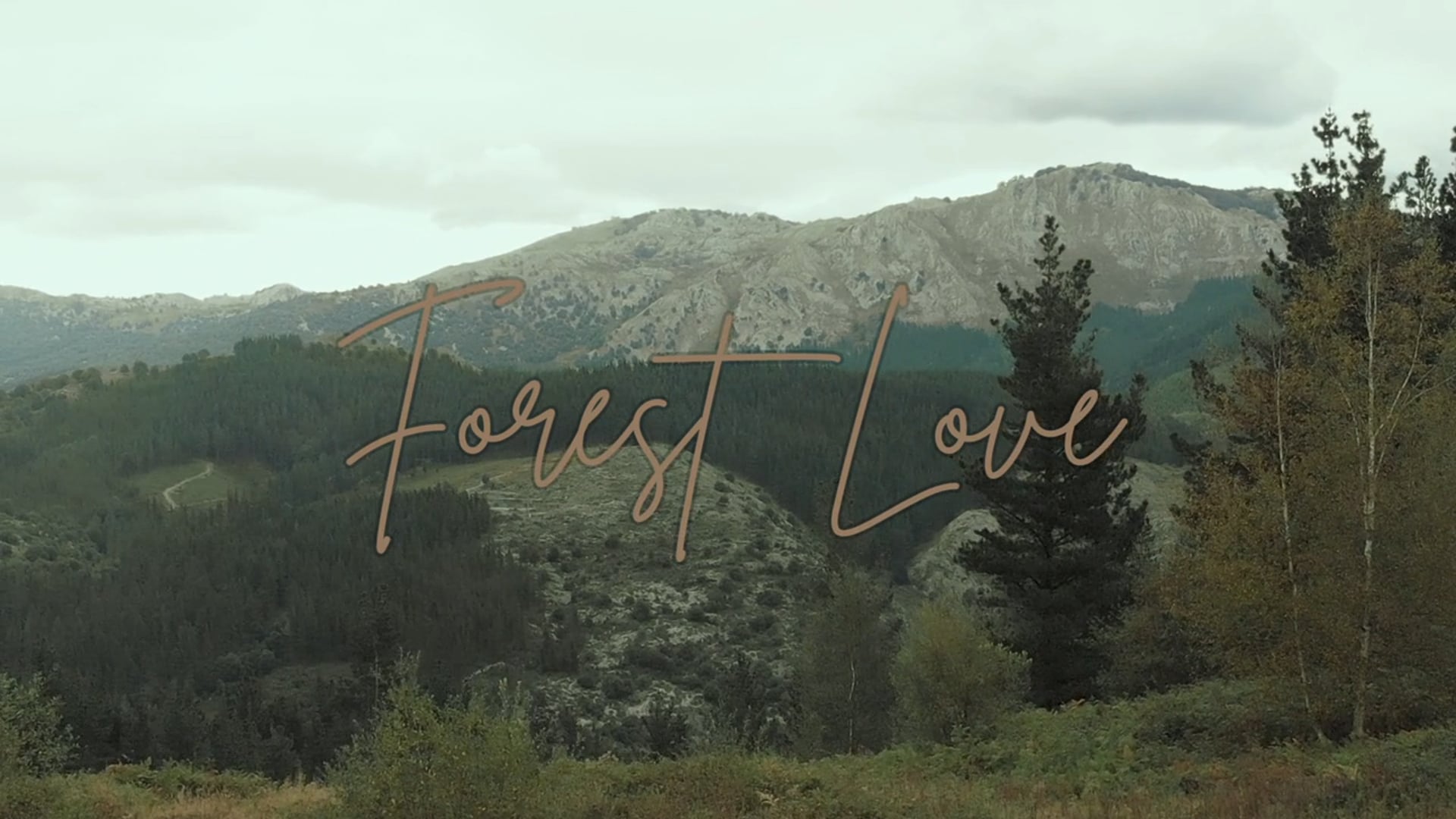 Forest Love