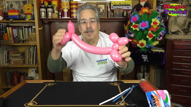 Learn How to Make the Ultimate Balloon Animals With Mr. Twister - Master  Magic Tricks by Magic Makers