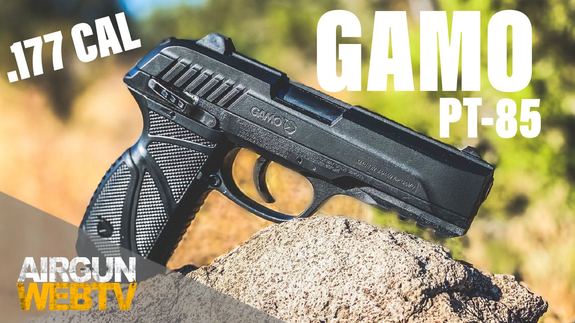Gamo P-25 and PT-85 CO2 Pellet Pistol Table Top and Shooting Review on Vimeo