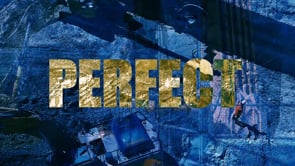 PerfectX_Perfect_Social