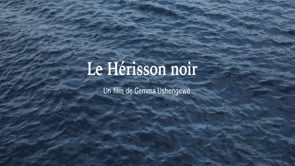 Trailer - Le hérisson noir by Gemma Ushengewe