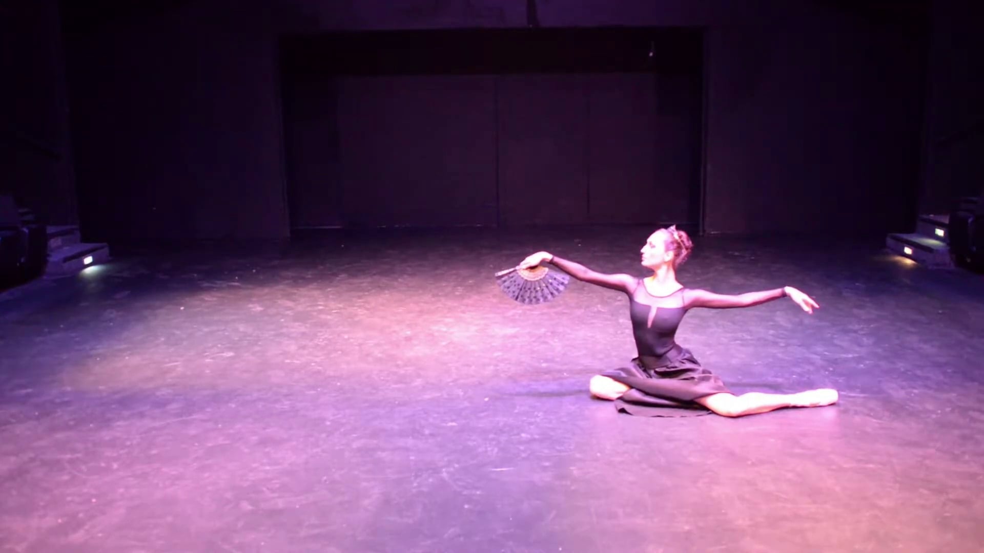 Promotional video thumbnail 21 for Ballet Reveries