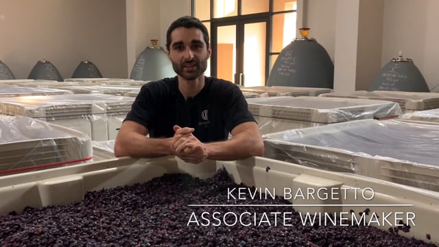 Harvest Up Close - Fermentation