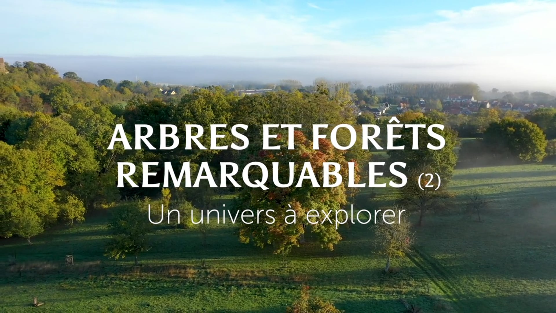 BA Arbres et Forêts Remarquables (2)