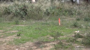Primers treballs per urbanitzar el carrer Sàlvia