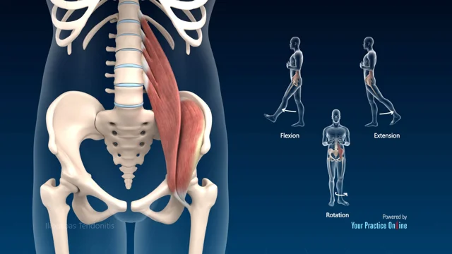 Most Effective Psoas Release Technique for Pain Relief - Coach Sofia Fitness