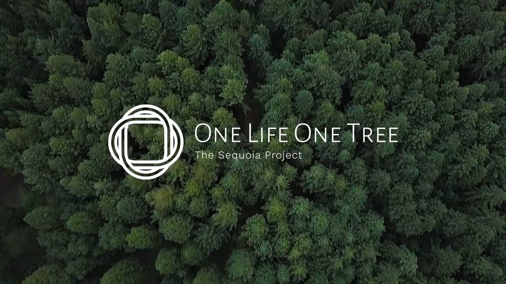 One Life One Tree on Vimeo