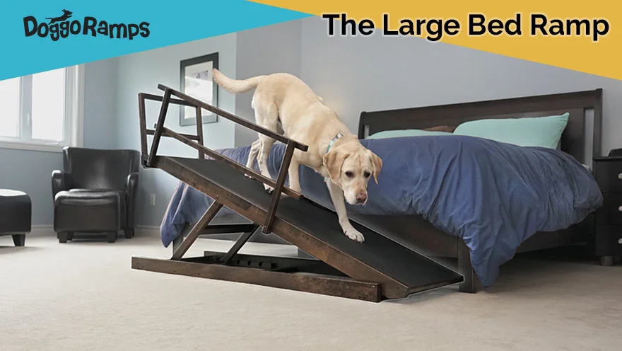 Ramps for big dogs sales