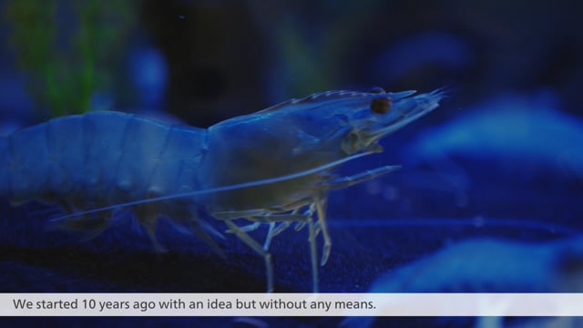 SwissShrimp sichert die Wasserqualität mit Instrumenten von Metrohm