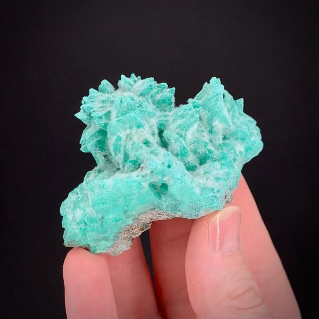 sele-cooty♡ Pretty Sweet Intimates Women's Laser Cut Cheeky Bikini