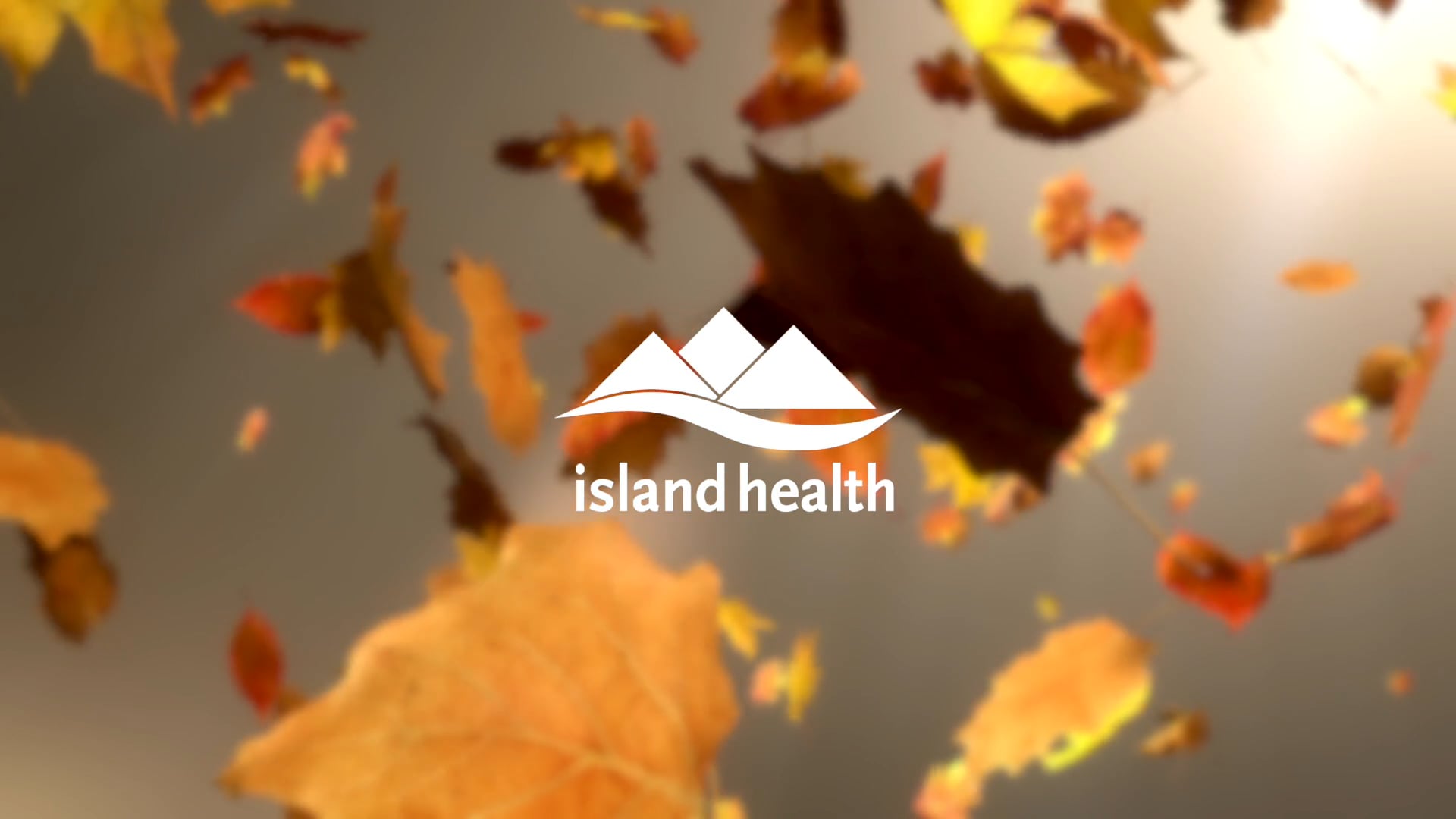 Fall 2020 on Vimeo
