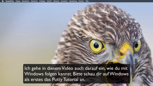 Einführung in den Terminal (Mac & Windows)